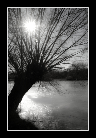 Schönauer Teich 6