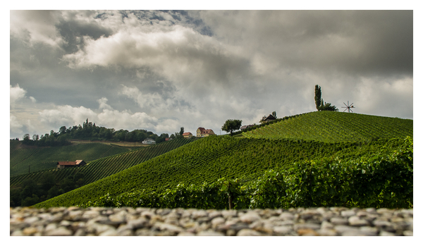 Wein, Wein, Wein