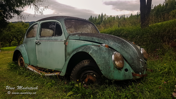 VW Käfer
