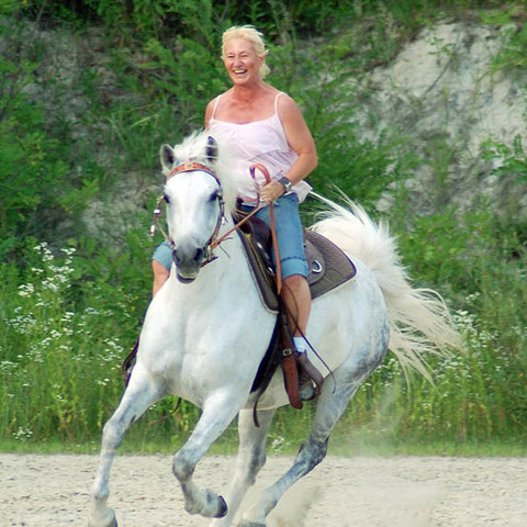 wildwildWest II