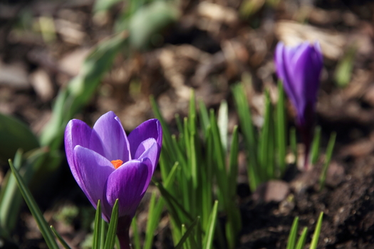 neulich im Garten