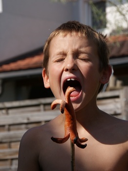 Am Stecken gegrillt schmeckt am Besten!