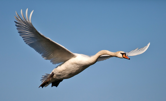 Landeanflug