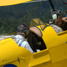 Tiger Moth