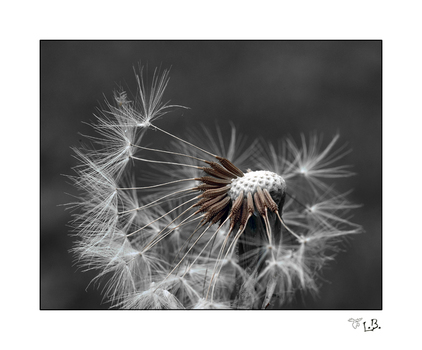 --Haarausfall--