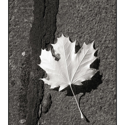 Herbstbeginn