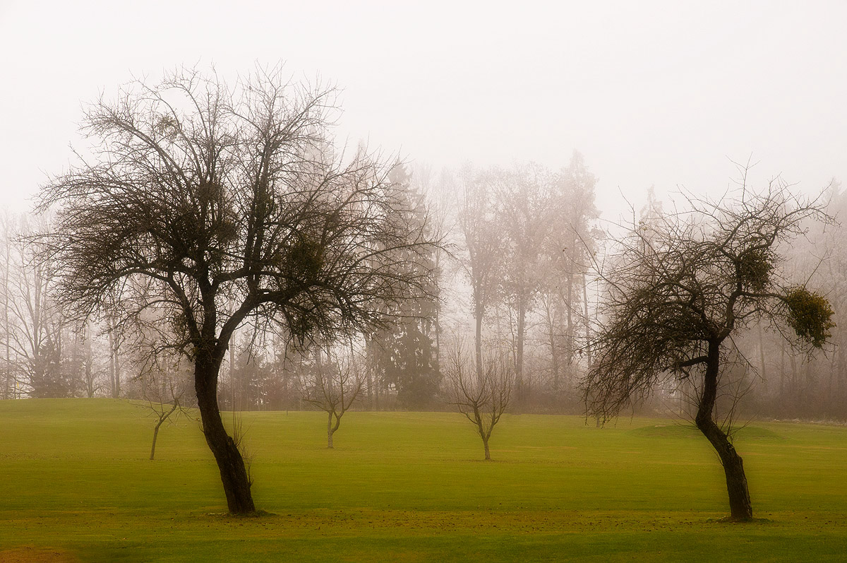 November - Blues