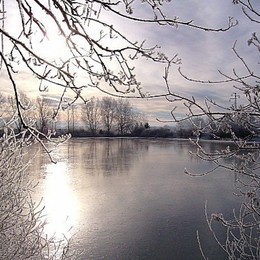 Wintermorgen am Langerringer See