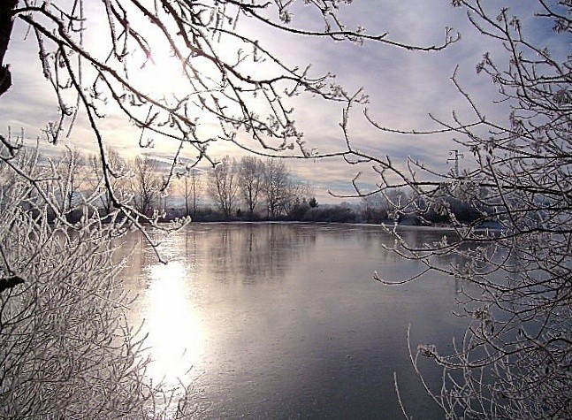 Wintermorgen am Langerringer See