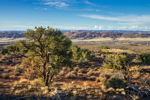 Back to Arches Nationalpark I