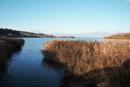 Blick über den See