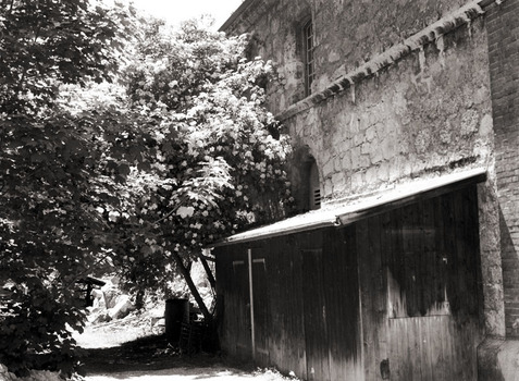 Garden Shed
