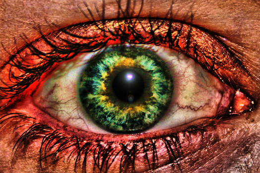 Schwesters Auge