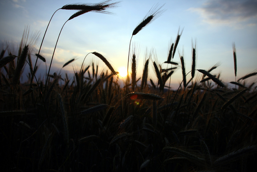 sonnenuntergang_2