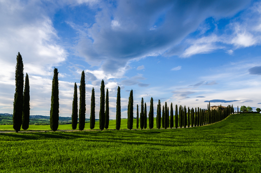 In der Val d'Orcia