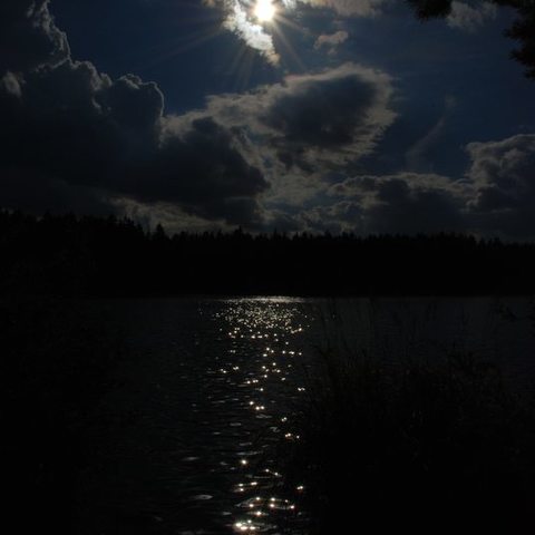 See