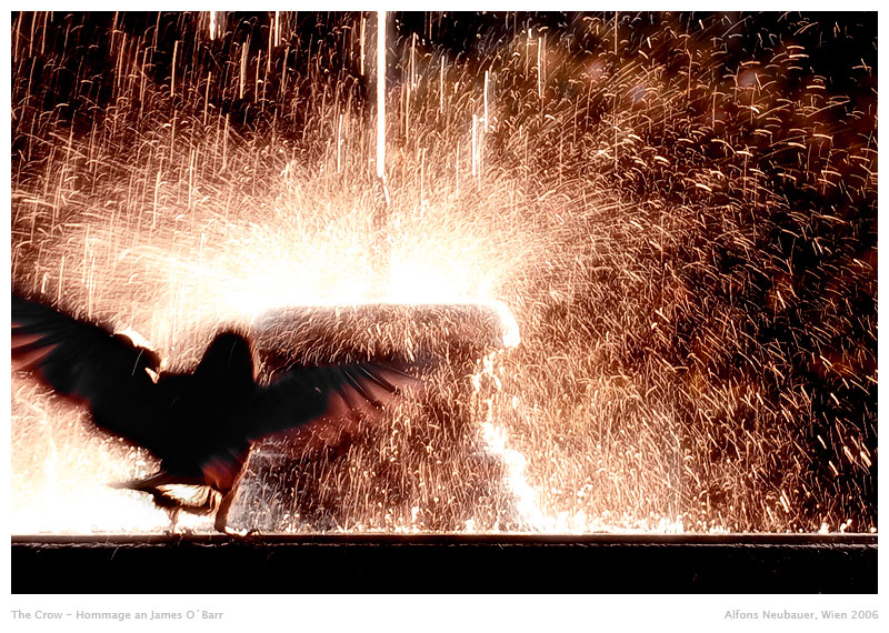 The Crow