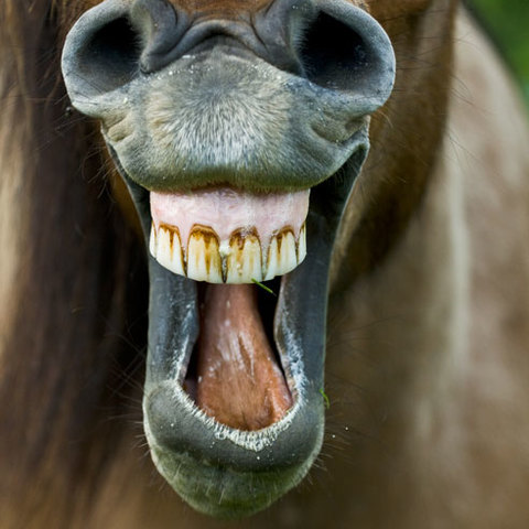 Lachen ist gesund :-)
