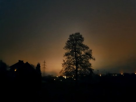 Morgenstimmung