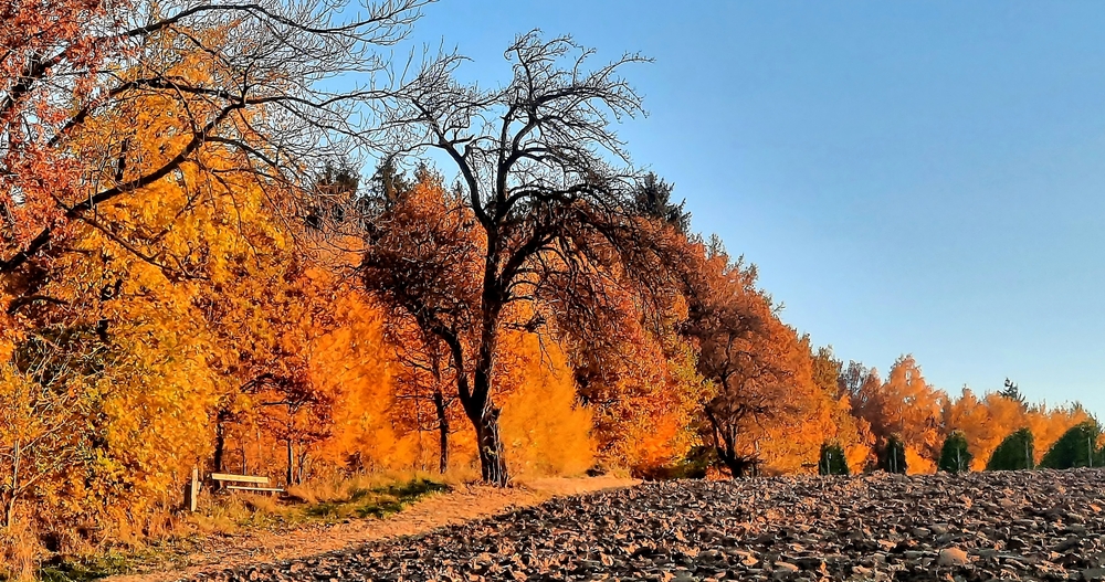 "Indian Summer"...