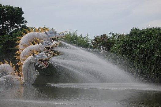 Drachen
