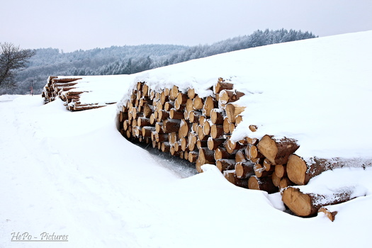 Holz im Schnee