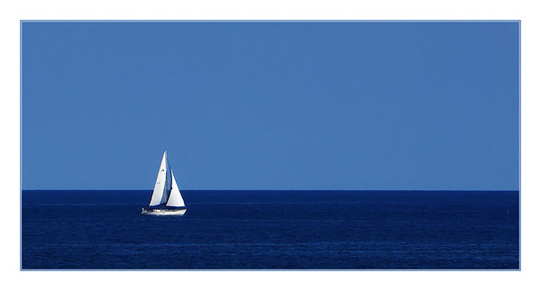NEW WIND IN THE SAILS