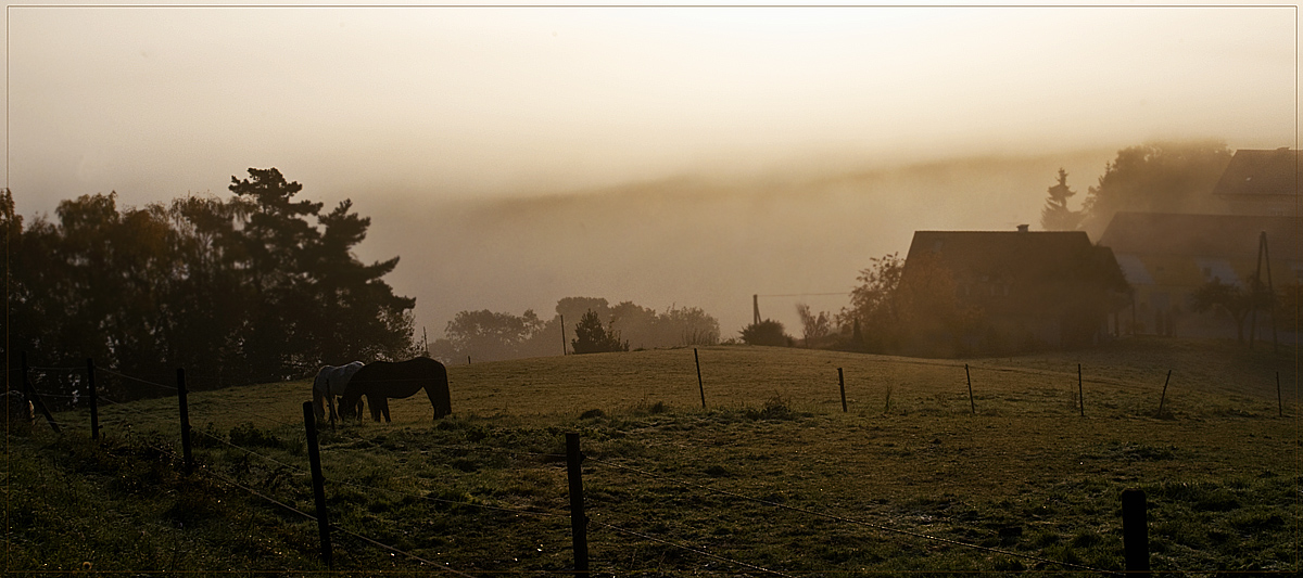 Novemberstimmung_2