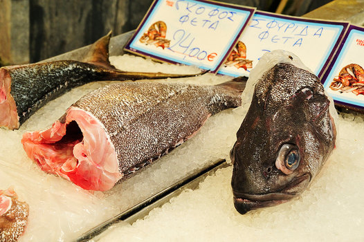Stillleben mit Fisch