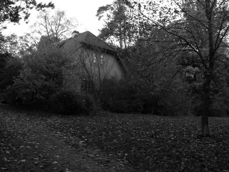 Halloween lässt grüßen