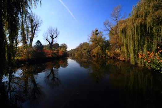 Spiegelung II