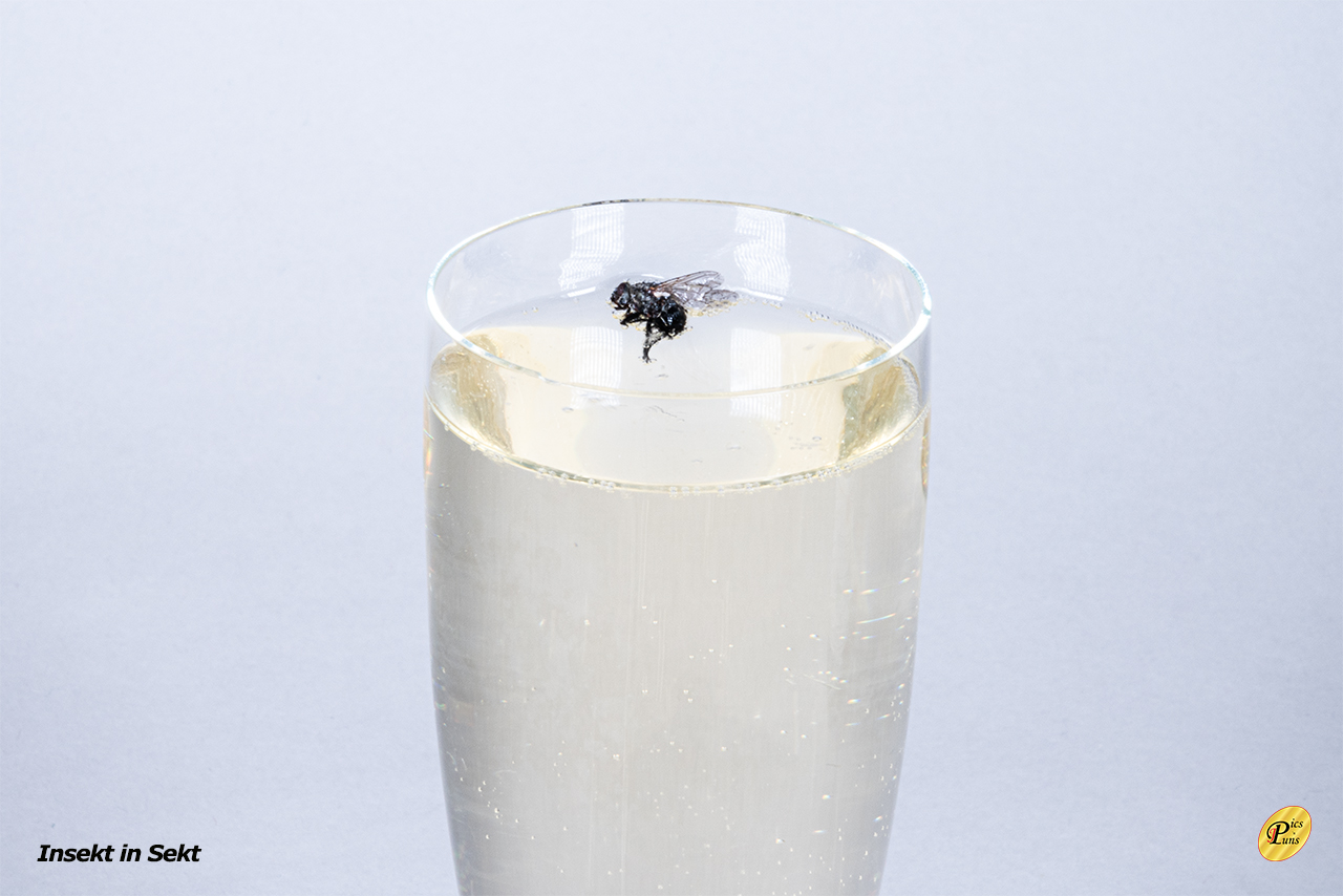 Insekt in Sekt