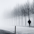 MentalTraining