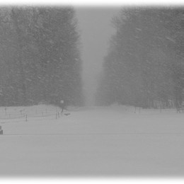 Mitten im Winter