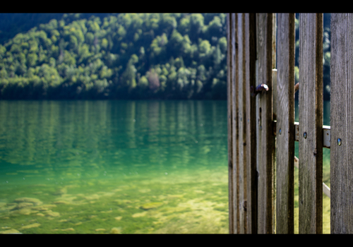 Am See