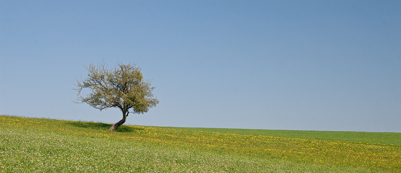 Frühling