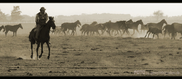 Abendritt sepia