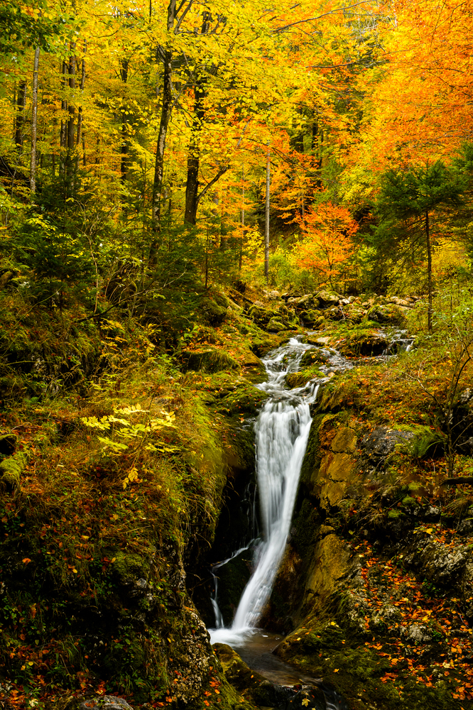 Zwerchbach, Herbst