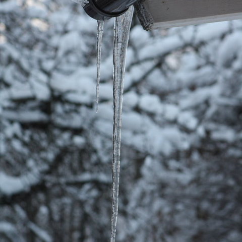 "Eiszapferl"