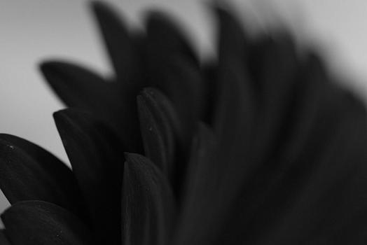 b/w