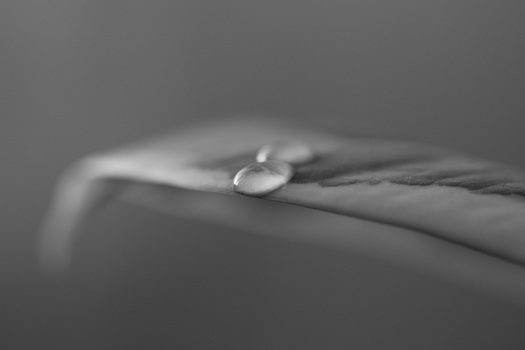 A Raindrop :)