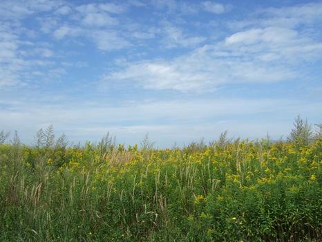 ein bisschen summer-feeling :)