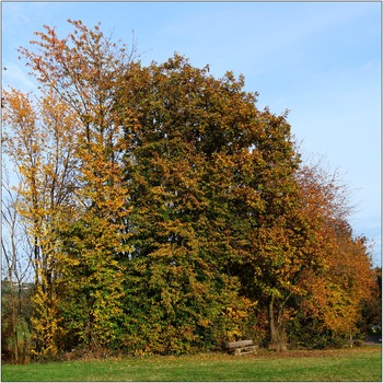 Rastplatz