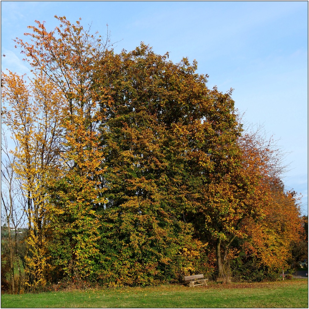Rastplatz