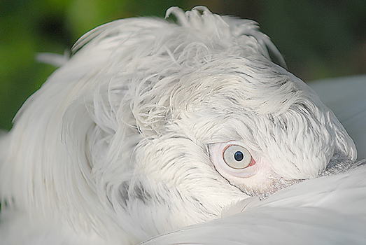 i'm watching you