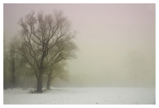 Aulandschaft