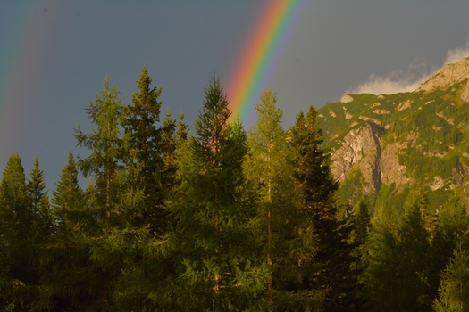 Nach dem reingendem Gewitter