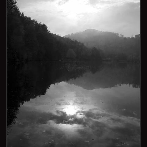 Morgens am Thalersee