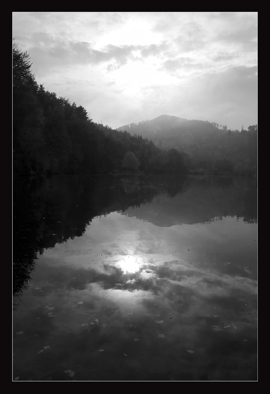 Morgens am Thalersee