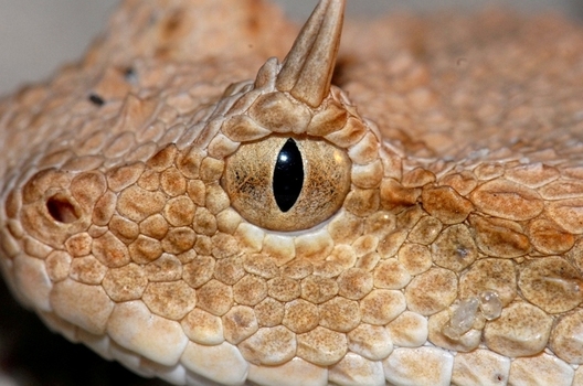 I can see you, can you see me?